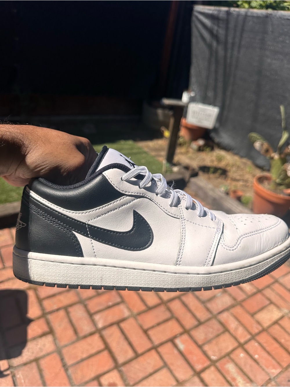 Nike Low-Top Sneaker in White and Black